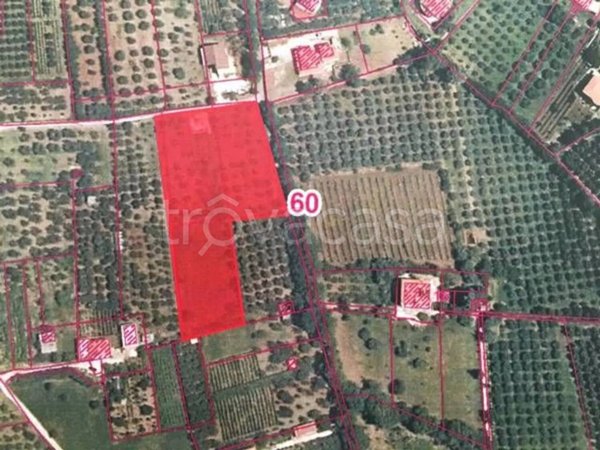 terreno agricolo in vendita a Campagna