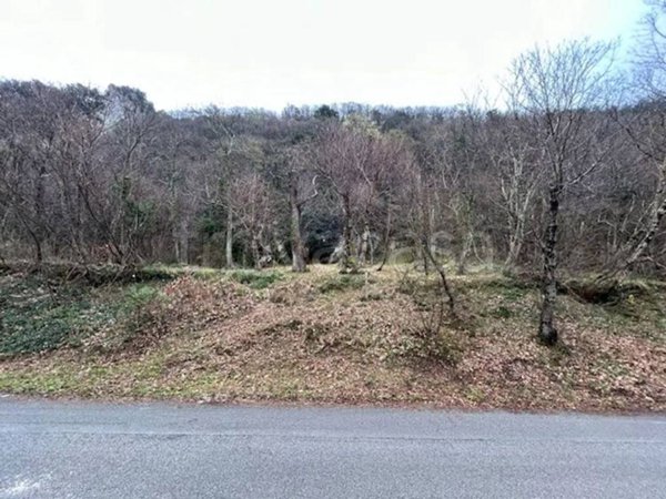 terreno agricolo in vendita a Campagna