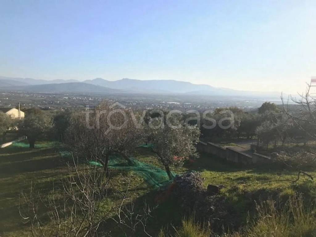 terreno agricolo in vendita a Campagna