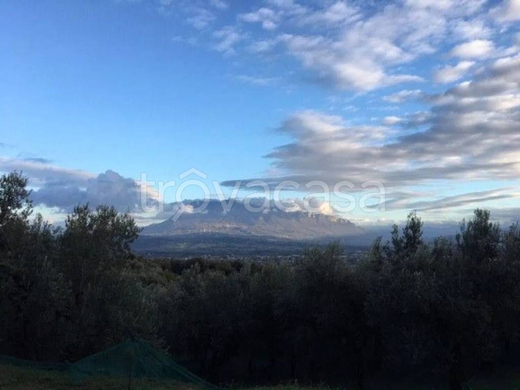 terreno agricolo in vendita a Campagna