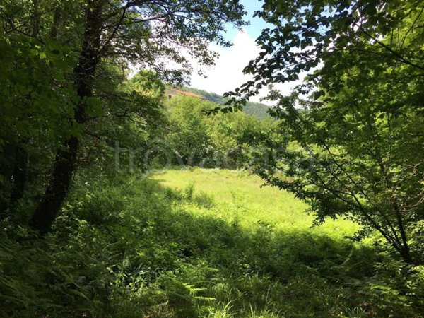 terreno agricolo in vendita a Campagna