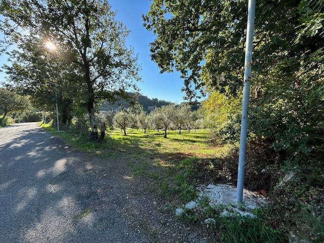 terreno agricolo in vendita a Campagna