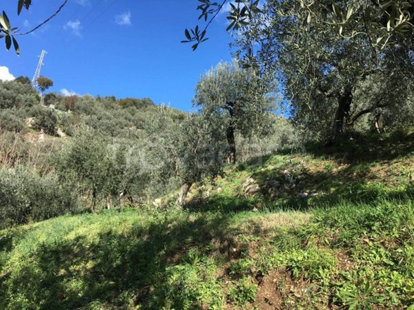 terreno agricolo in vendita a Campagna