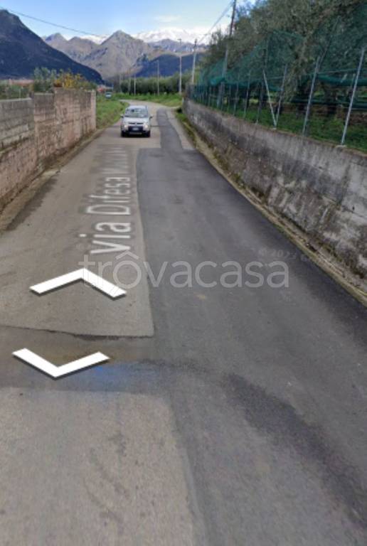 immagine annuncio 0 di 10