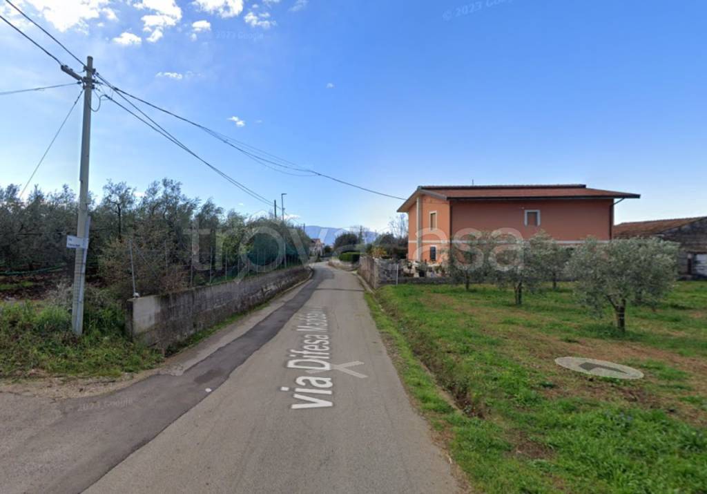 immagine annuncio 0 di 15