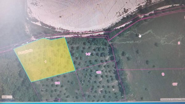 terreno agricolo in vendita a Campagna