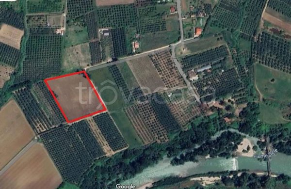 terreno agricolo in vendita a Campagna