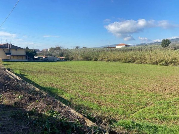 terreno agricolo in vendita a Campagna