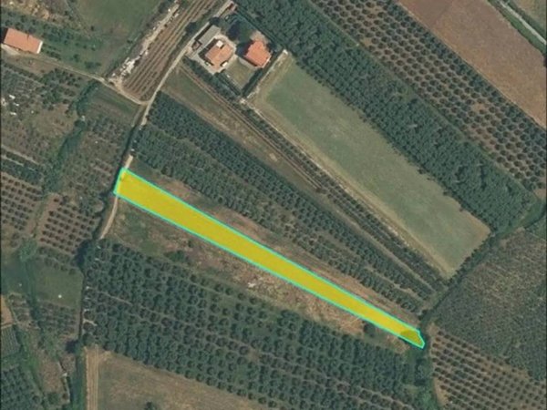 terreno agricolo in vendita a Campagna