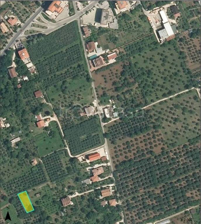 terreno agricolo in vendita a Campagna