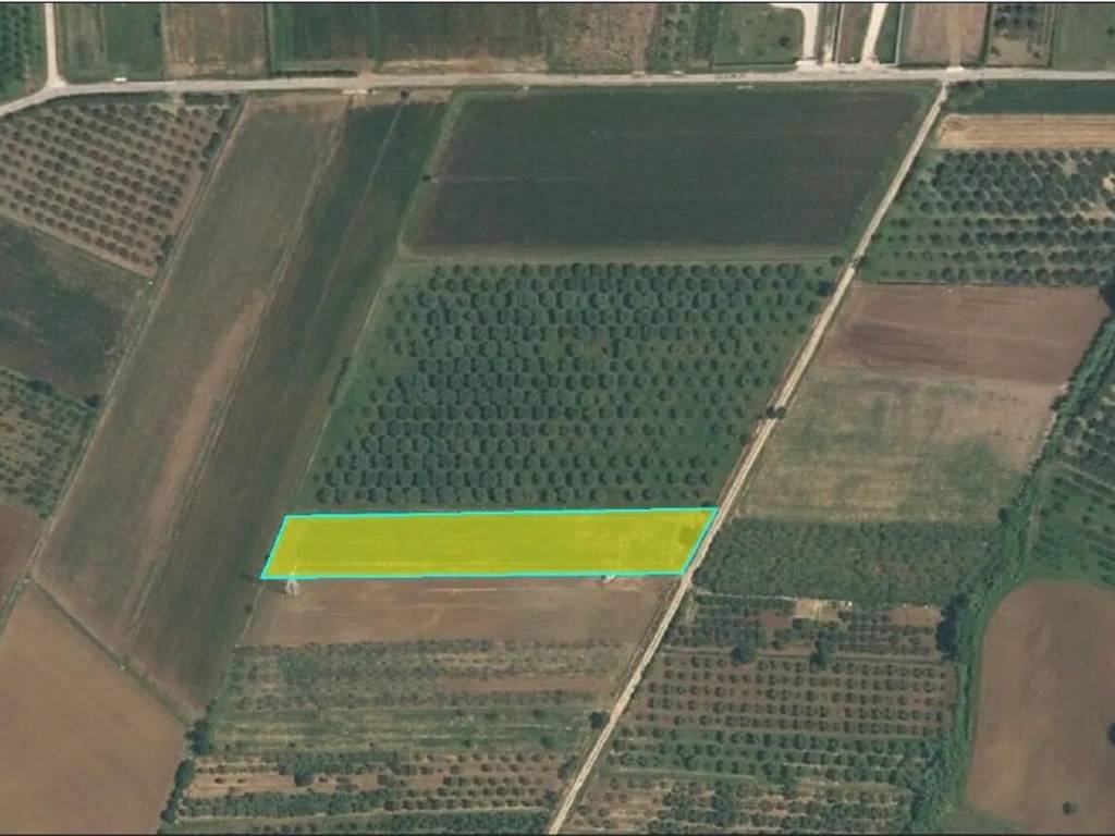 terreno agricolo in vendita a Campagna