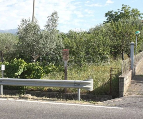 terreno agricolo in vendita a Campagna