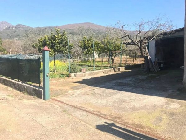terreno agricolo in vendita a Campagna