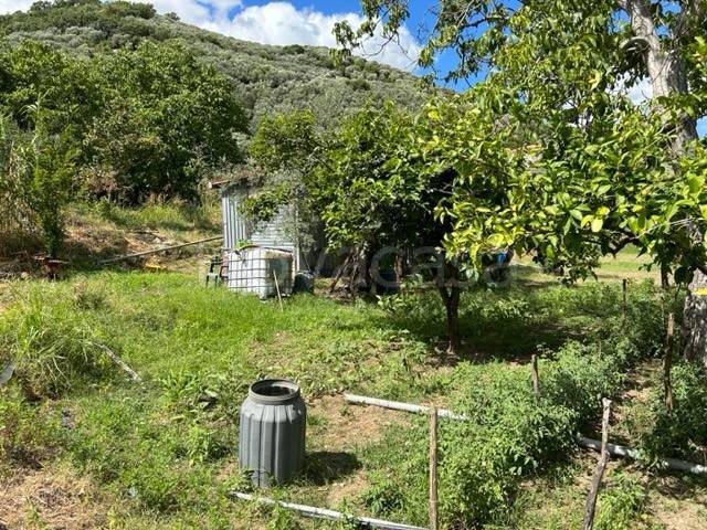 terreno agricolo in vendita a Campagna