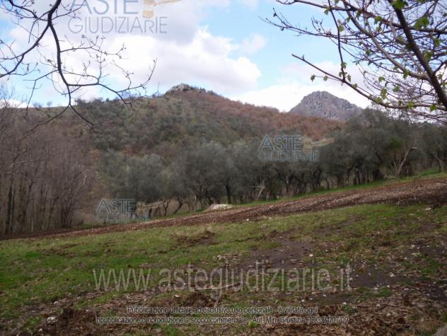 terreno agricolo in vendita a Campagna