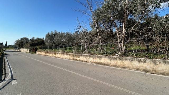 terreno agricolo in vendita a Campagna