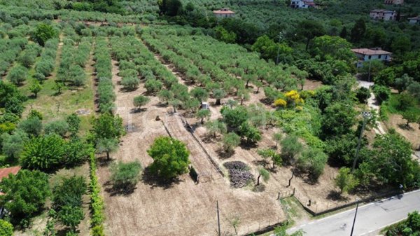 terreno agricolo in vendita a Campagna