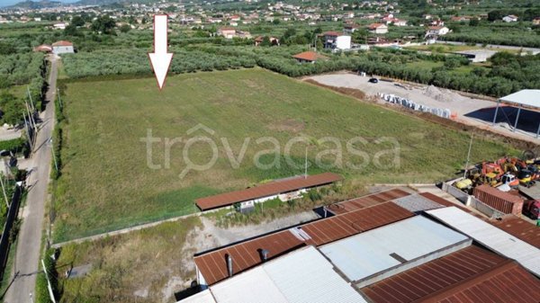 terreno agricolo in vendita a Campagna