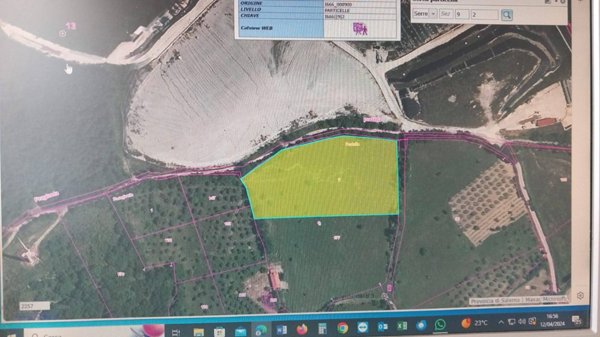 terreno agricolo in vendita a Campagna