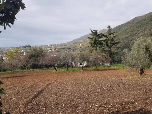 terreno agricolo in vendita a Campagna