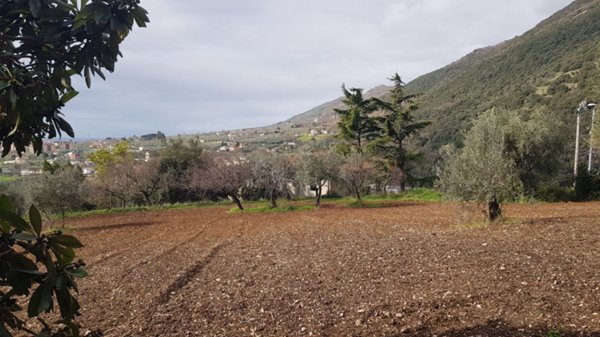 terreno agricolo in vendita a Campagna