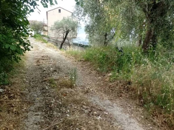 terreno agricolo in vendita a Campagna