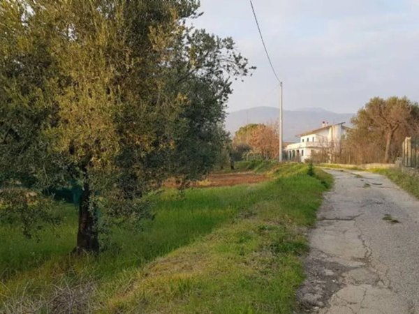 terreno agricolo in vendita a Campagna