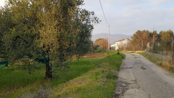 terreno agricolo in vendita a Campagna