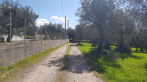 terreno agricolo in vendita a Campagna