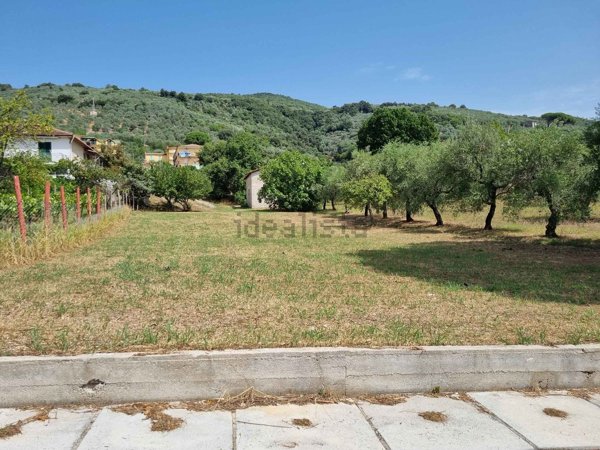 appartamento in vendita a Campagna