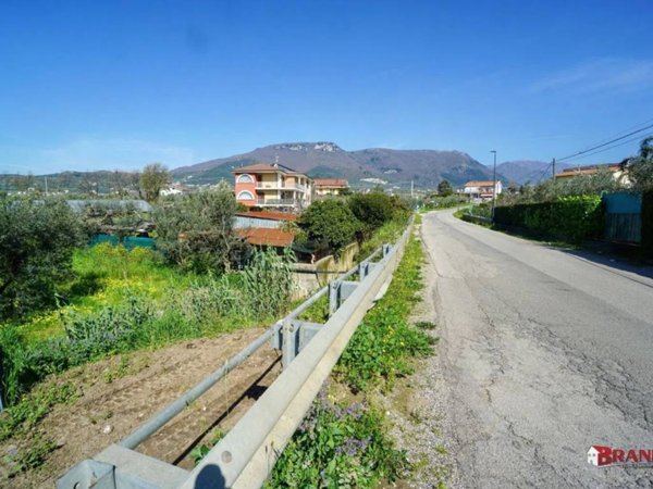 terreno agricolo in vendita a Campagna