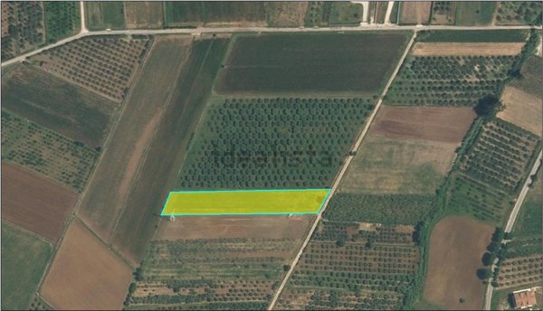 terreno agricolo in vendita a Campagna