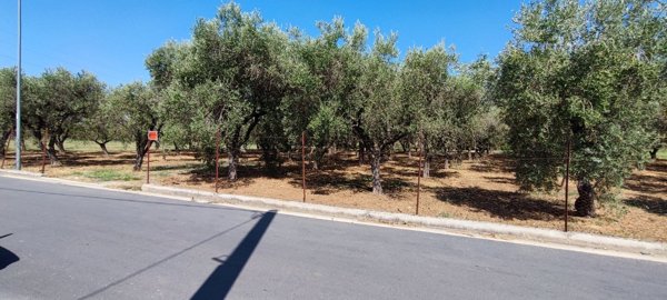 casa indipendente in vendita a Campagna