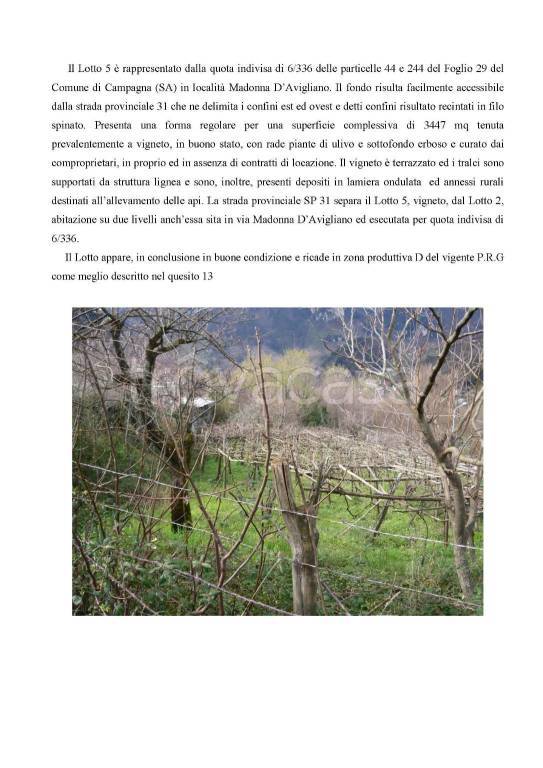 terreno agricolo in vendita a Campagna