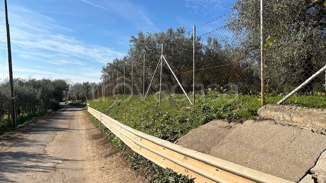 terreno agricolo in vendita a Campagna