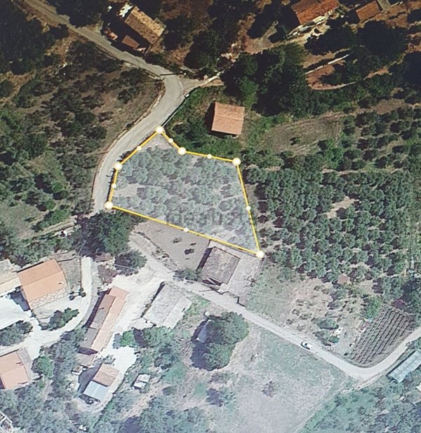 terreno agricolo in vendita a Campagna