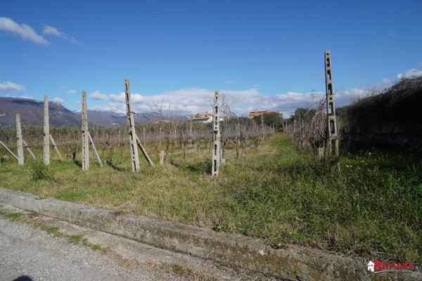 terreno agricolo in vendita a Campagna