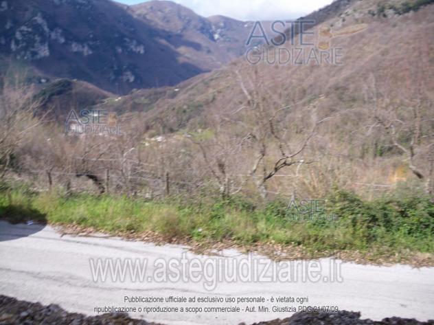 terreno agricolo in vendita a Campagna