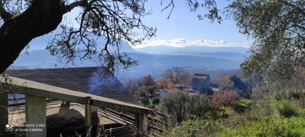 terreno agricolo in vendita a Campagna