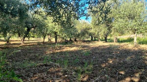 appartamento in vendita a Campagna