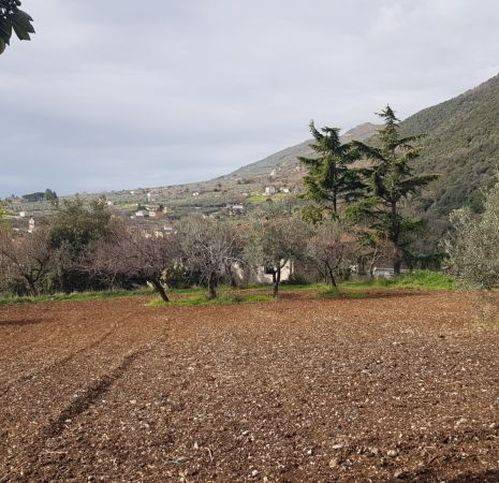 terreno agricolo in vendita a Campagna
