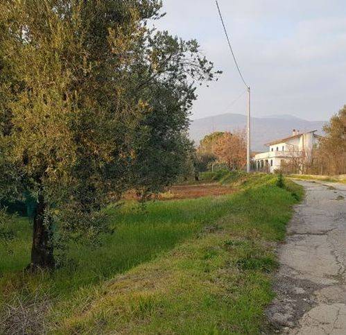 terreno agricolo in vendita a Campagna