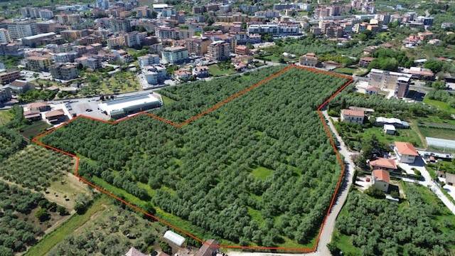 terreno agricolo in vendita a Campagna