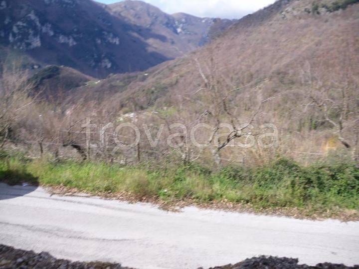 terreno agricolo in vendita a Campagna