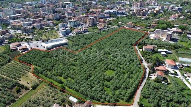terreno agricolo in vendita a Campagna