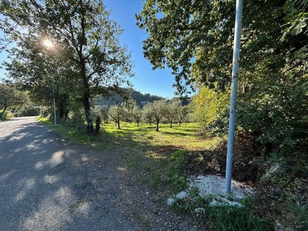 terreno agricolo in vendita a Campagna