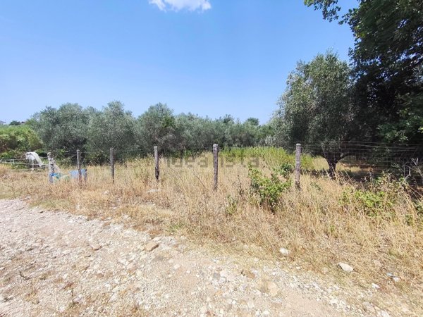 terreno agricolo in vendita a Campagna