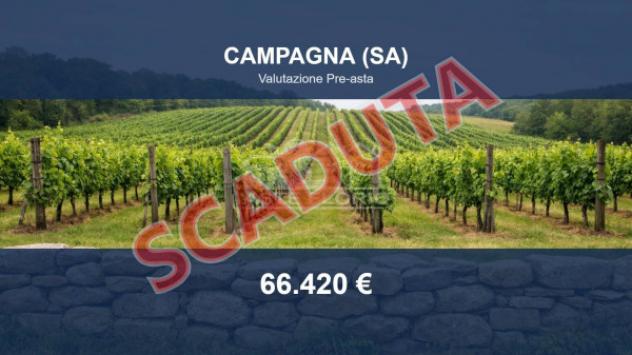 terreno agricolo in vendita a Campagna