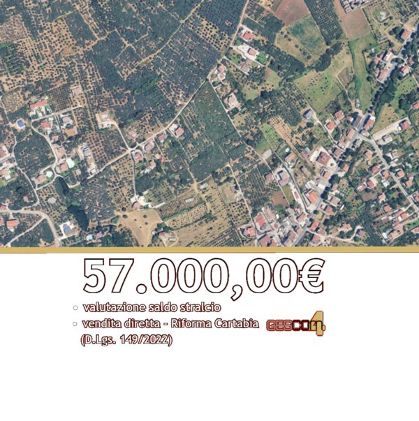 appartamento in vendita a Campagna