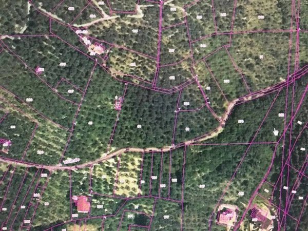terreno agricolo in vendita a Campagna
